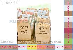 In tui giay Kraft Caton 060-